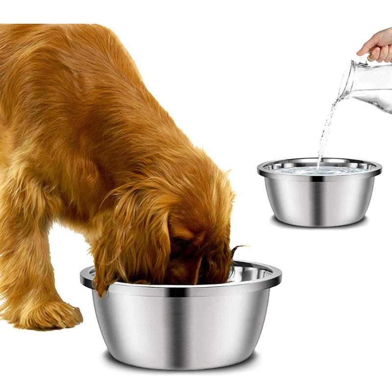 Royal Canin Food Medium - A Stainless Steel Dog Feeders 20cm