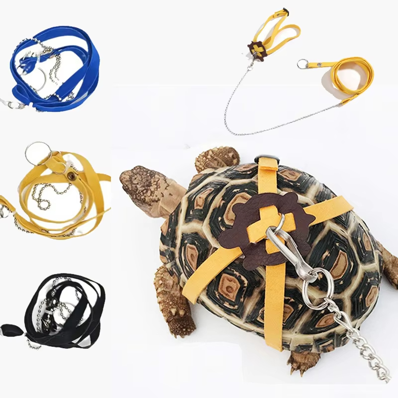 Turtle Traction Belt Control R - огляд і ціна Water Dish Reptile